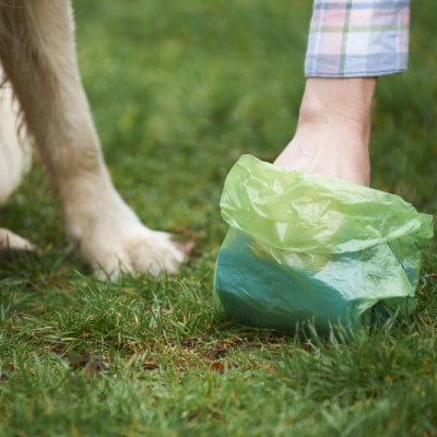 PET WASTE MANAGEMENT SOLUTIONS